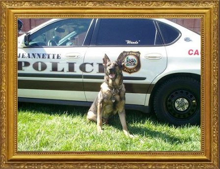 K-9 Wando Scalzo 2004-2016